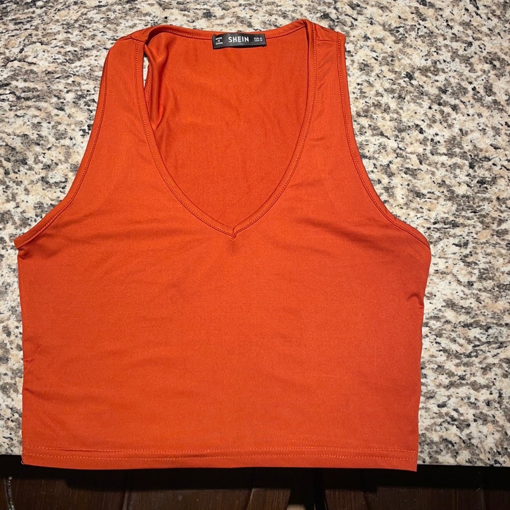 SHEIN rust-colored crop top